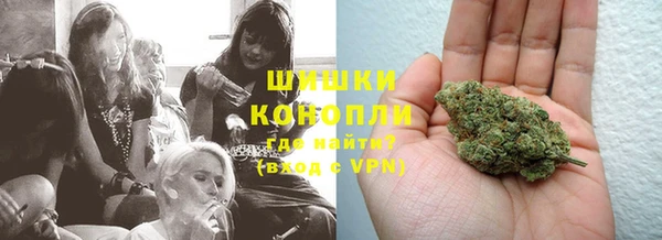 PSILOCYBIN Навашино