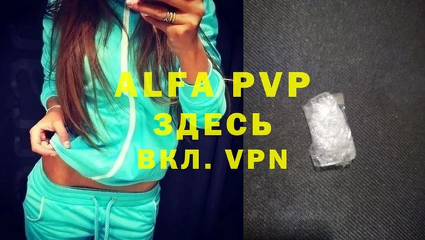 PSILOCYBIN Навашино